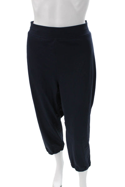 Lululemon Womens Jogger Pants Blue Nylon Pull On Solid Size 14
