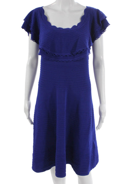 Eliza B. Womens Sweater Dress Blue Scoop Neck Short Sleeve Size L