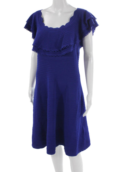 Eliza B. Womens Sweater Dress Blue Scoop Neck Short Sleeve Size L