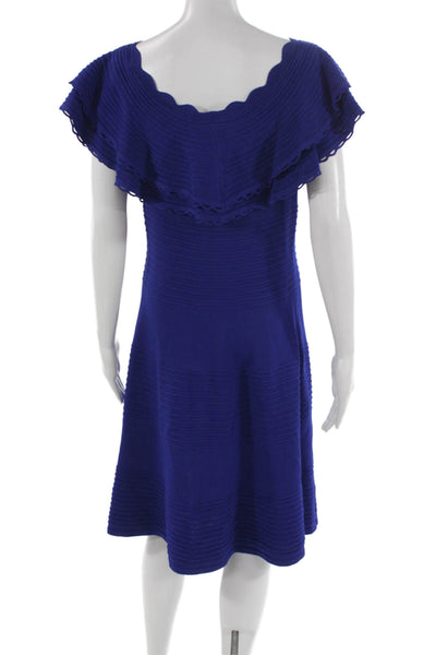 Eliza B. Womens Sweater Dress Blue Scoop Neck Short Sleeve Size L