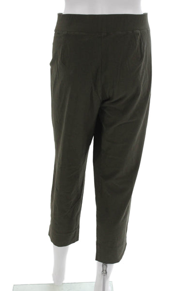 Eileen Fisher Womens Green Capri Pants Pull On Viscose Blend Size L
