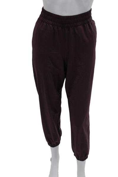 Banana Republic Womens Jogger Pants Purple Polyester Pull On Size S