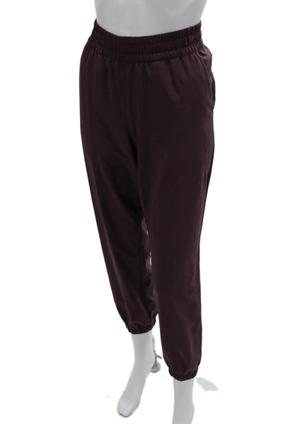 Banana Republic Womens Jogger Pants Purple Polyester Pull On Size S