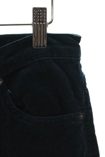 AG Womens Skinny Blue Cotton Blend Pants Size 27
