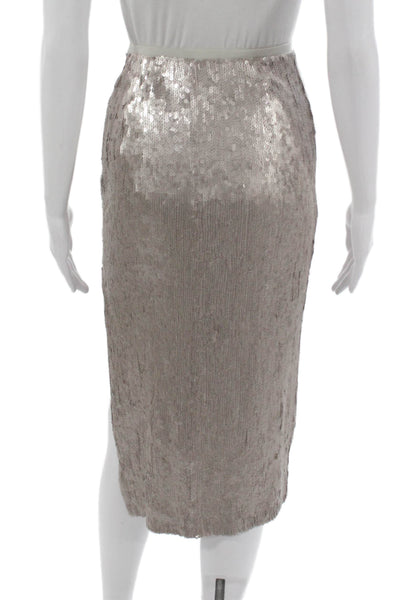 Chan Luu Women Silver Long Straight Pencil Skirt Viscose Zip Size XS