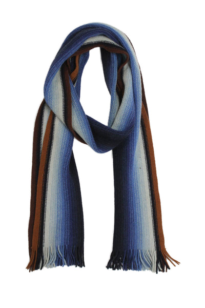 Paul Stuart Womens Fringe Trim Scarf Blue Brown Wool Blend Size One Size