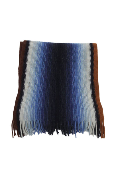 Paul Stuart Womens Fringe Trim Scarf Blue Brown Wool Blend Size One Size