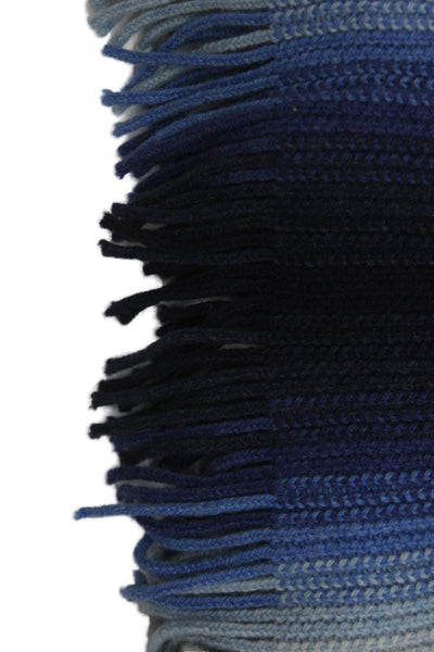 Paul Stuart Womens Fringe Trim Scarf Blue Brown Wool Blend Size One Size