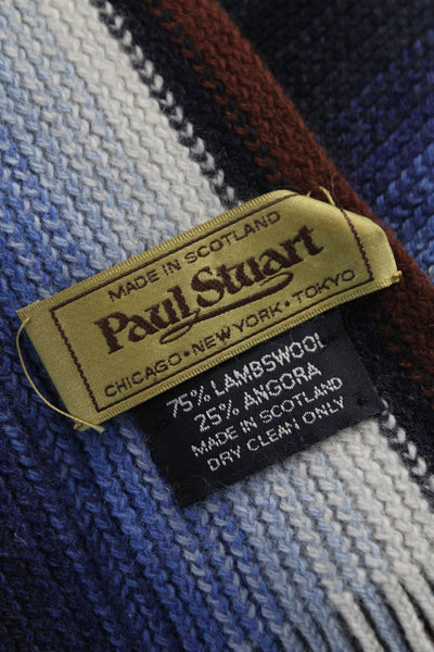 Paul Stuart Womens Fringe Trim Scarf Blue Brown Wool Blend Size One Size