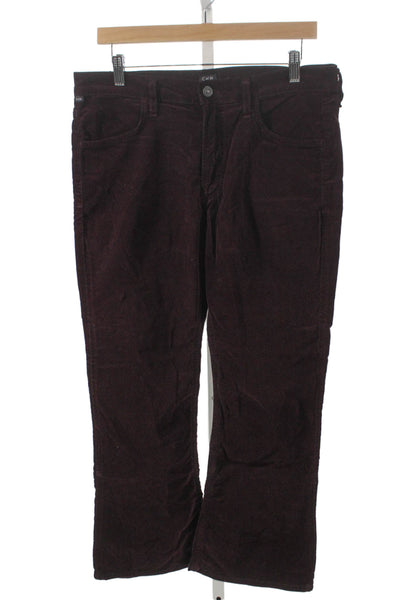 Citizens of Humanity Mens Purple Supima Cotton Pants Zip Size 30
