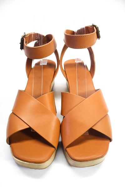 Everlane Womens The Clog Sandal Sandals Brown Size 8