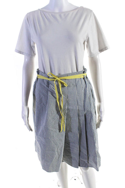 BCBGMAXAZRIA Women's Striped A Line Skirt Blue Size 8