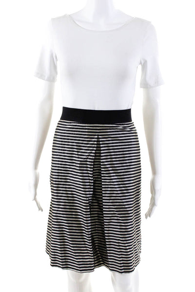 Rene Lezard Womens Zip Back Pleated Striped Flare Midi Skirt Silver Size 40