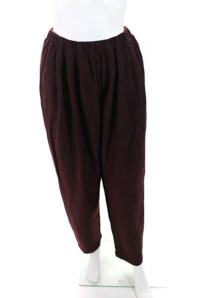 Eileen Fisher Women's Wool Straight Leg Casual Pants Purple Size 1