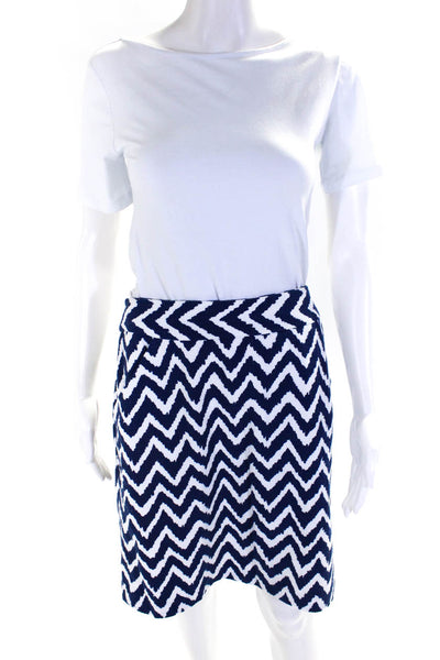 Milly Womens Slit Textured Abstract Striped Casual A-Line Skirt Blue Size 10