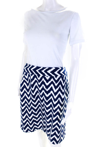 Milly Womens Slit Textured Abstract Striped Casual A-Line Skirt Blue Size 10