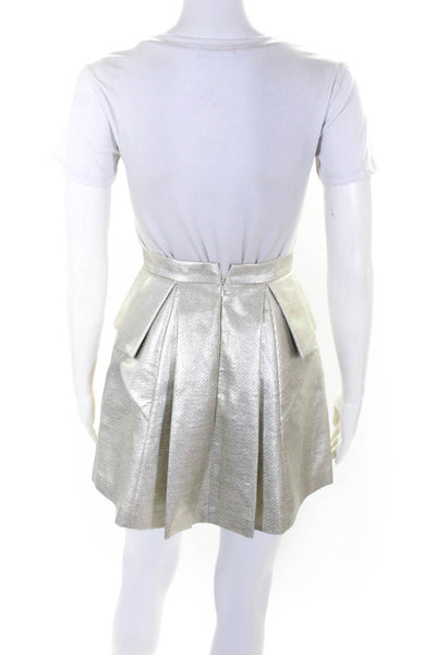Robert Rodriguez Womens Metallic Pleated Zippered Skirt Silver Tone Size 0