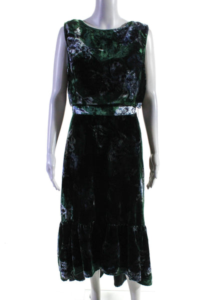 Eva Franco Women's Sleeveless Crew Neck Floral Velvet Gown Green Size 4
