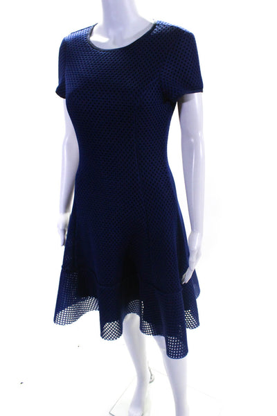 Pink Tartan Womens Mesh Knit Textured Darted Zipped Drop Waist Dress Blue Size 6
