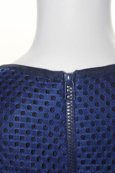 Pink Tartan Womens Mesh Knit Textured Darted Zipped Drop Waist Dress Blue Size 6