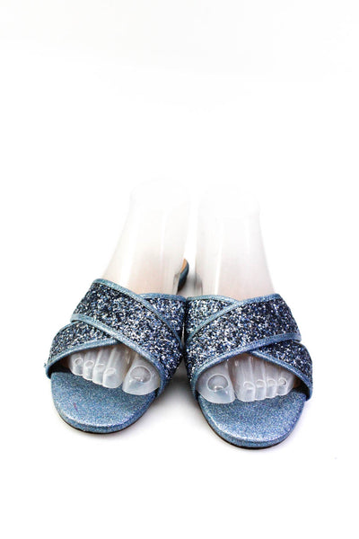 J Crew Womens Glitter Crossed Open Toe Slides Sandals Blue Silver Tone Size 8