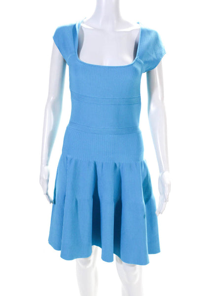 Issa London Womens Ribbed Textured Cap Sleeve Drop Waist Dress Blue Size M