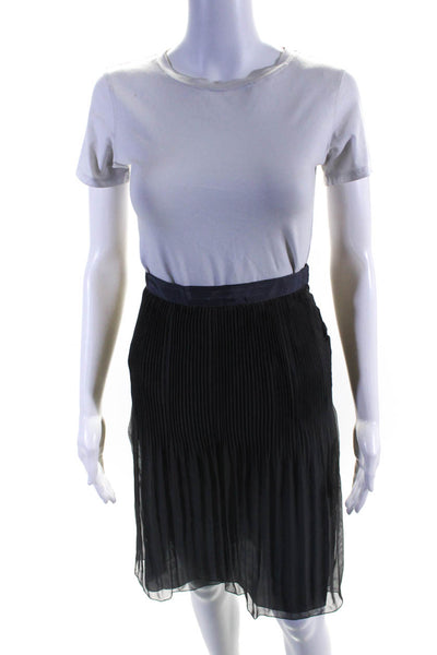 Alberta Ferretti Womens Pleated Snap Closure Flowy Mid Calf Skirt Gray Size 6