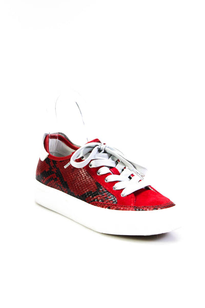 Rag & Bone Womens Lace Up Snakeskin Low Top Sneakers Red White Size 36
