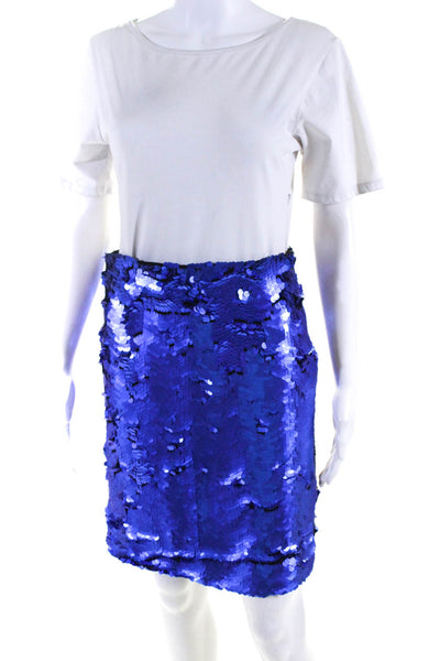 Zara Collection Womens Embroidered Sequined Elastic Textured Skirt Blue Size M