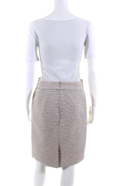 Banana Republic Womens Lined Straight Pencil Skirts Beige Blue Size 4 0 Lot 2