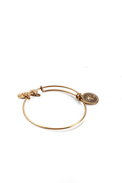 Alex and Ani Womens Gold Tone Slide On  Eye Of Horus Bangle Bracelets Lot 2