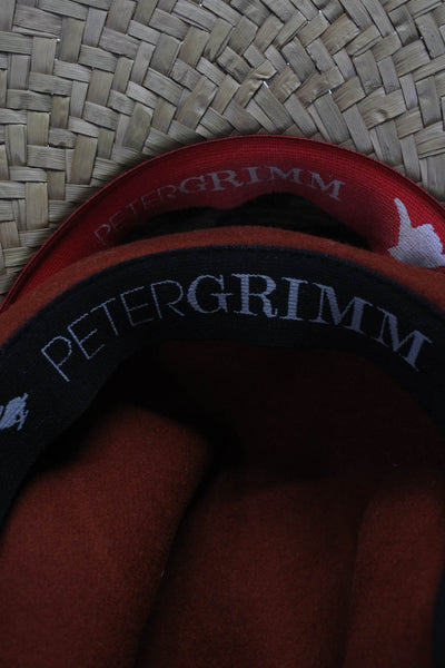 Peter Grimm Men's Straw Wide Brim Sunhat Beige Size O/S, Lot 2