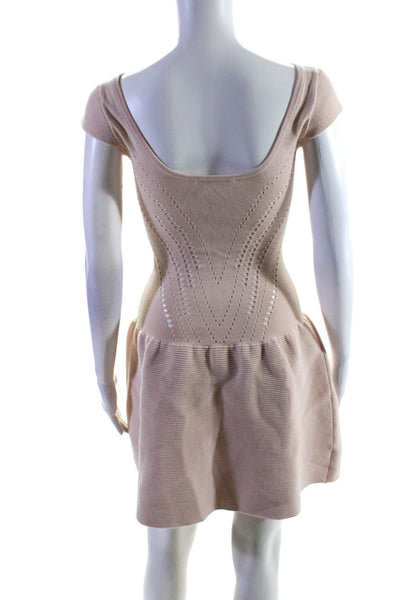 Maje Women's Scoop Neck Sleeveless Drop Waist Mini Dress Pink Size S