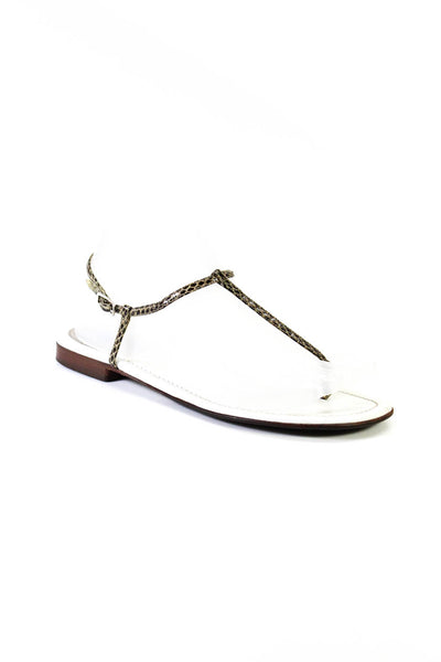 Dolce & Gabbana Womens White Brown Snakeskin T-Strap Flat Sandals Shoes Size 7