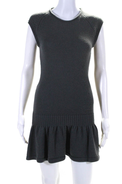 Iisli Womens Sleeveless Drop Waist A Line Sweater Dress Gray Size Small
