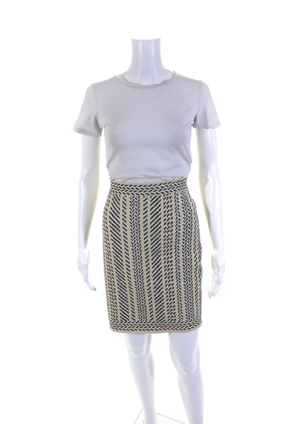 BCBG Max Azria Womens Knitted Textured Striped Tank Top Skirt Set Beige Size L