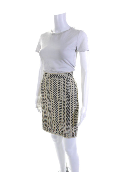 BCBG Max Azria Womens Knitted Textured Striped Tank Top Skirt Set Beige Size L