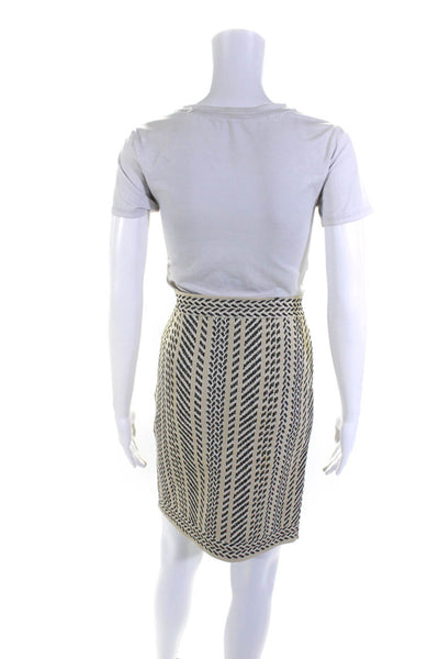 BCBG Max Azria Womens Knitted Textured Striped Tank Top Skirt Set Beige Size L