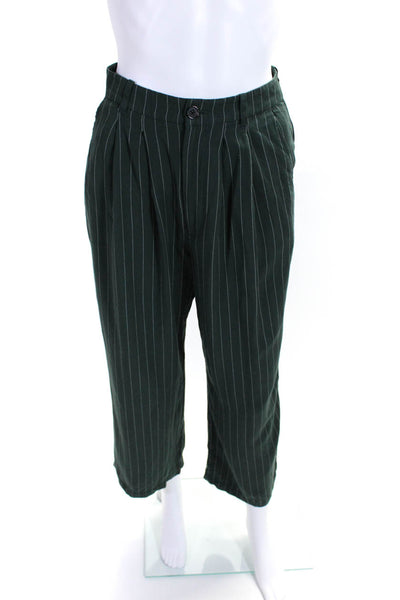 Reformation Womens Striped Print Buttoned Pleated Straight Pants Green Size 2P