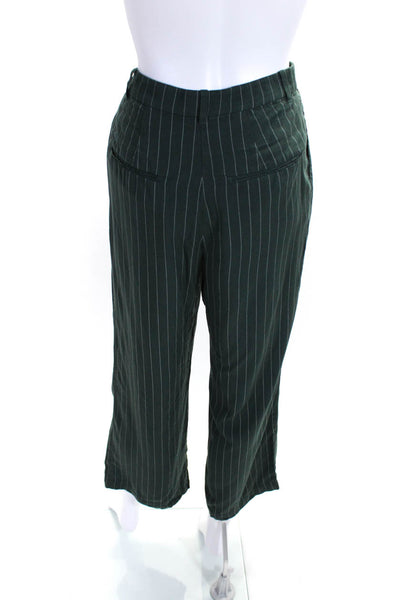 Reformation Womens Striped Print Buttoned Pleated Straight Pants Green Size 2P