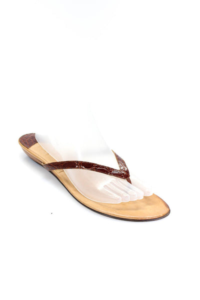 Cole Haan Womens Embossed Leather Thong Flip Flop Sandals Brown Size 9