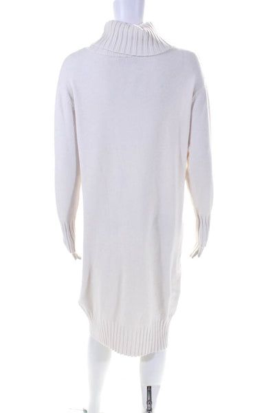 Natacha Womens Wool Long Sleeve Turtleneck Sweater Dress Beige Size S