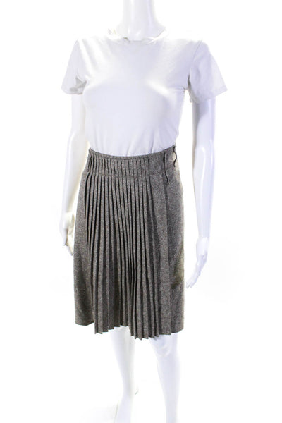Gunex Womens Wool Pleated Zip Up A-Line Knee Length Skirt Gray Size 10