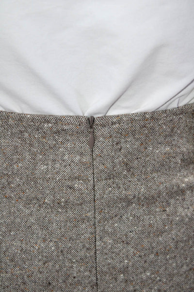 Gunex Womens Wool Pleated Zip Up A-Line Knee Length Skirt Gray Size 10