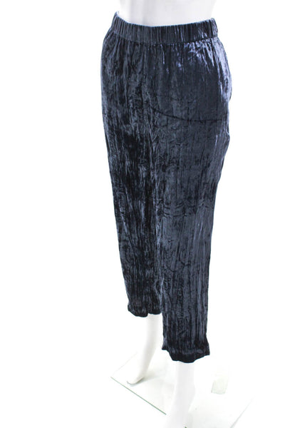 Ettitwa Women's Elastic Waist Flat Front Straight Leg Velvet Pant Blue Size L