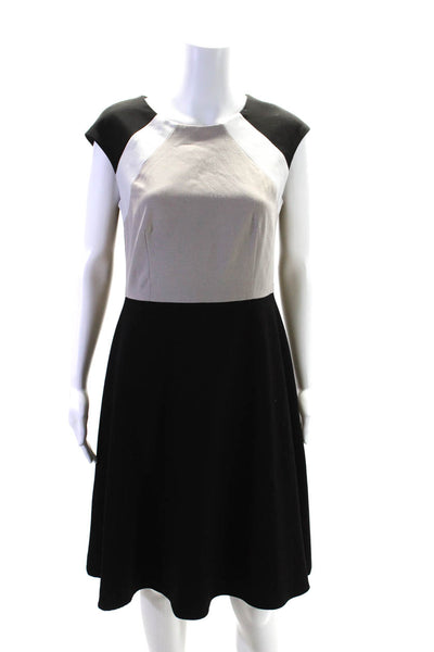 Calvin Klein Womens Sleeveless Round Neck Colorblock A Line Dress Black Size 6