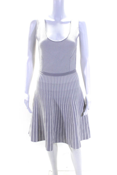 Banana Republic Womens Scoop Neck Striped Knit A Line Dress Gray White Small