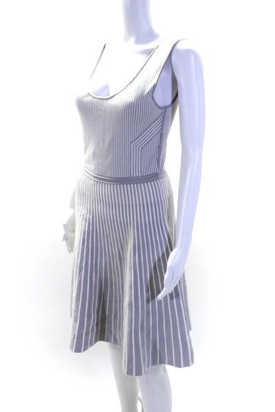 Banana Republic Womens Scoop Neck Striped Knit A Line Dress Gray White Small