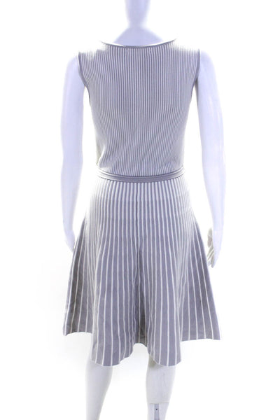 Banana Republic Womens Scoop Neck Striped Knit A Line Dress Gray White Small