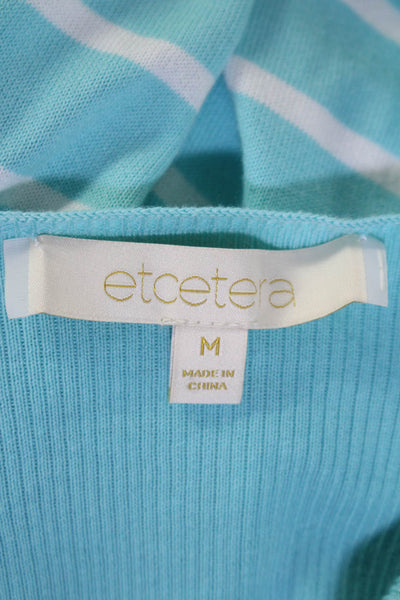 Etcetera Womens Striped Lace Up Sides Sweater Blue White Cotton Size Medium